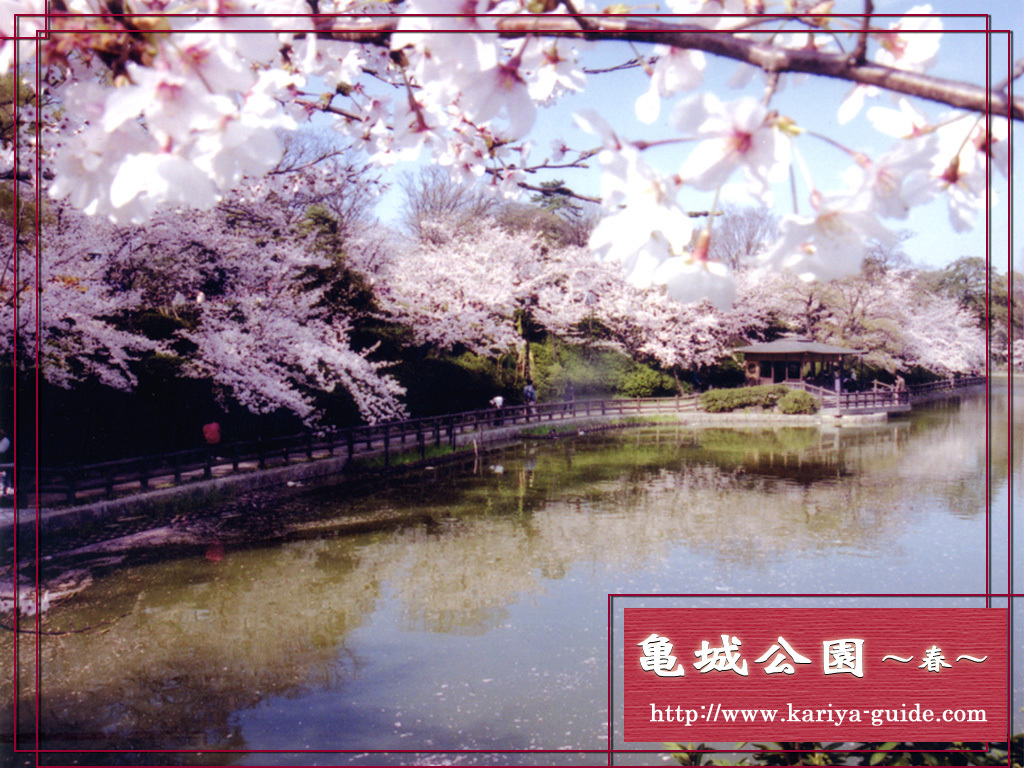 亀城公園　～春～