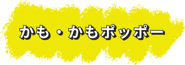 かも・かもポッポー