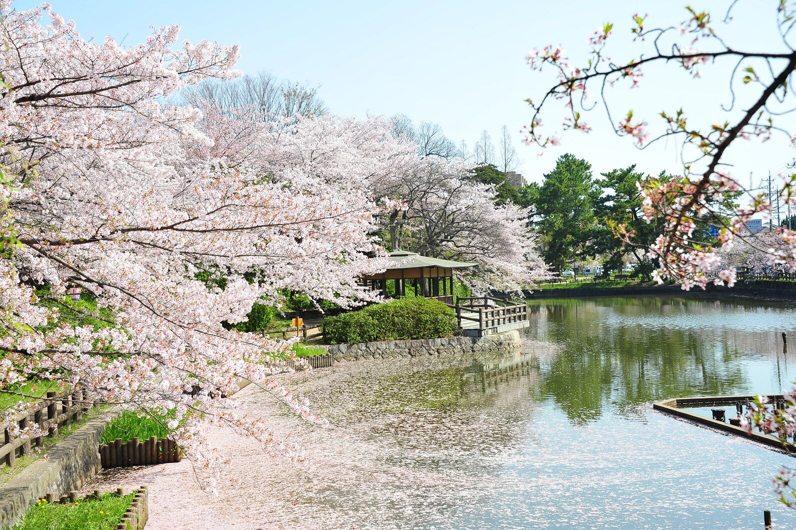 水野氏の居城跡　亀城公園