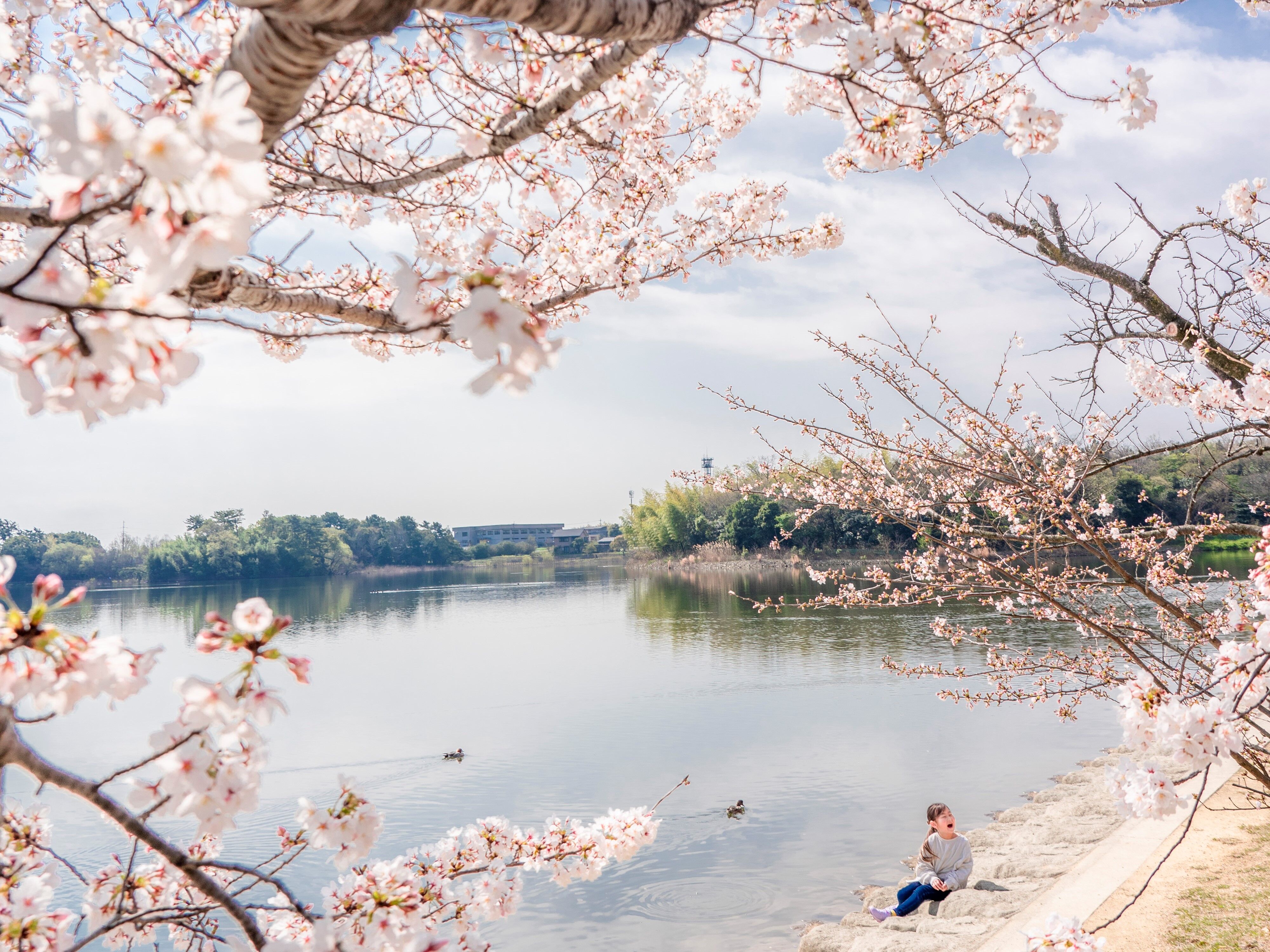 家族で遊ぼう！　洲原公園