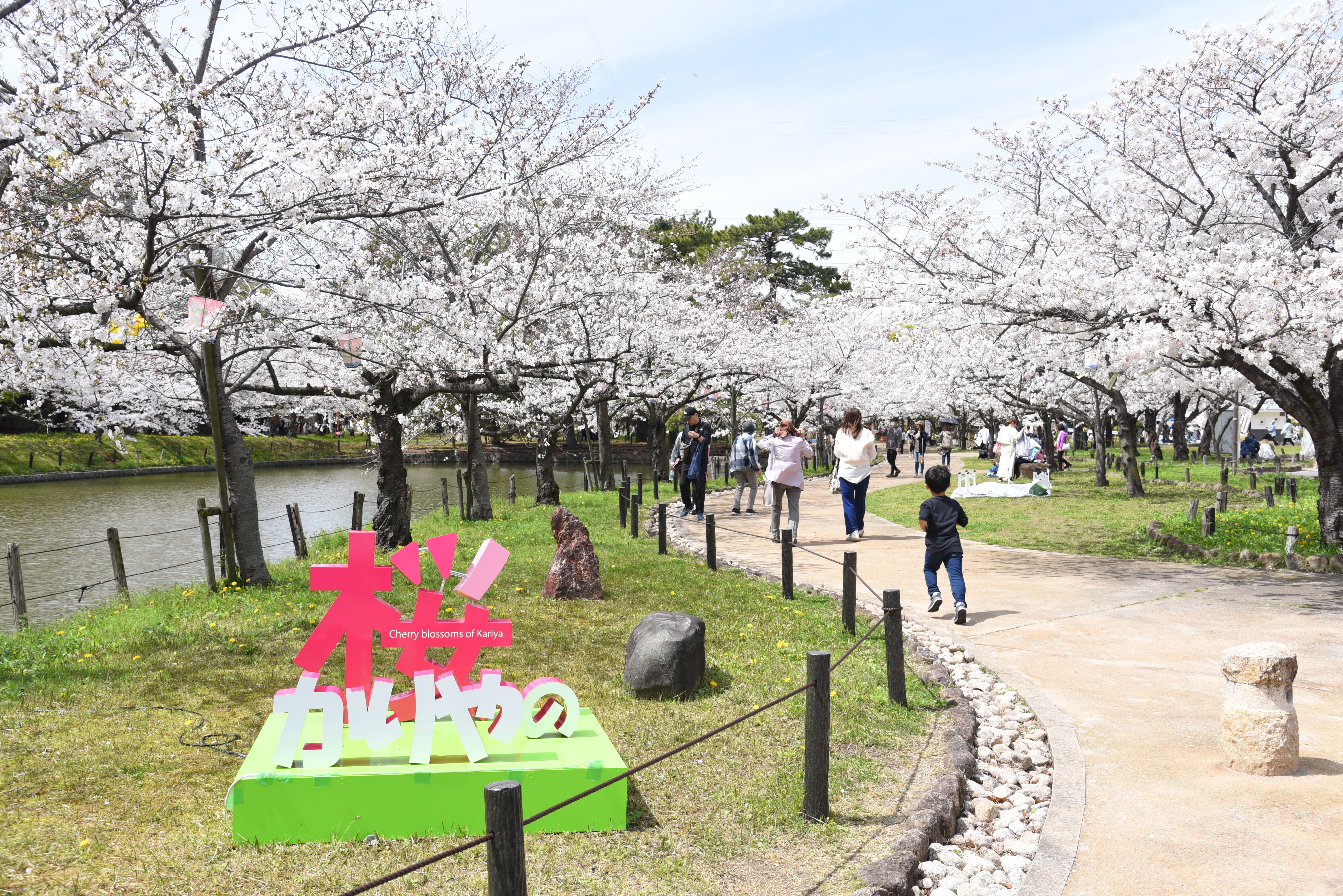 刈谷桜まつり