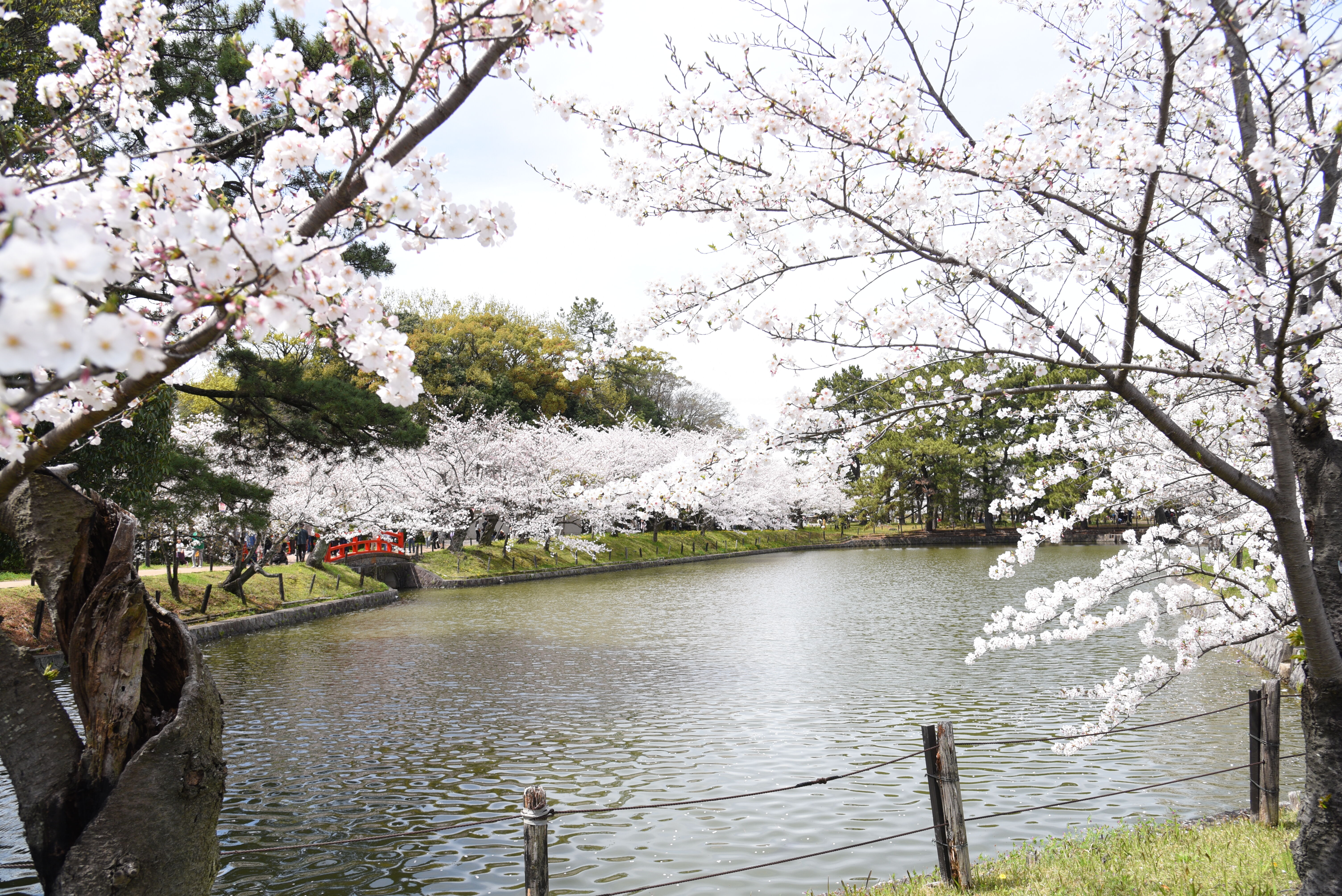 亀城公園