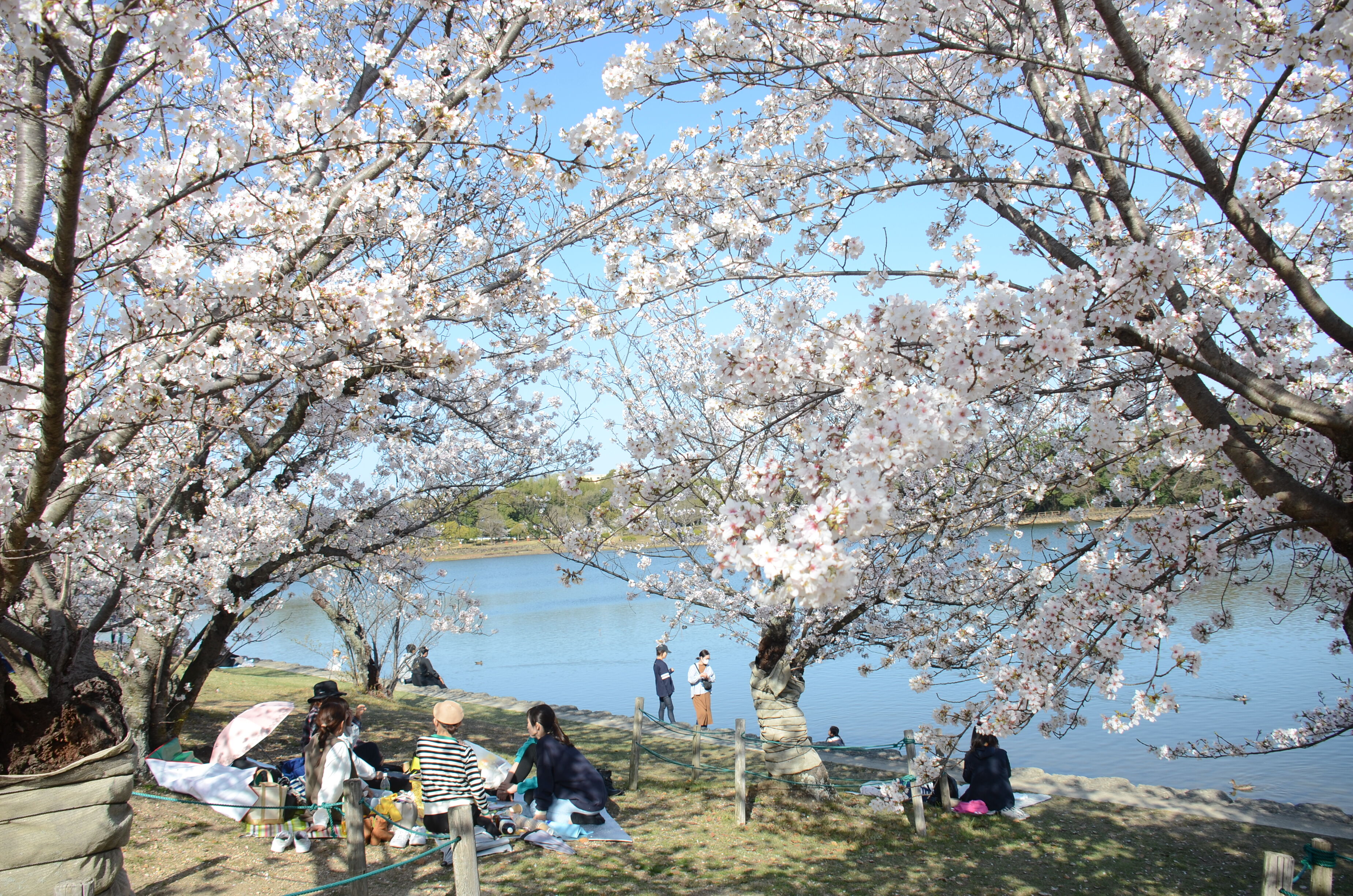 洲原公園