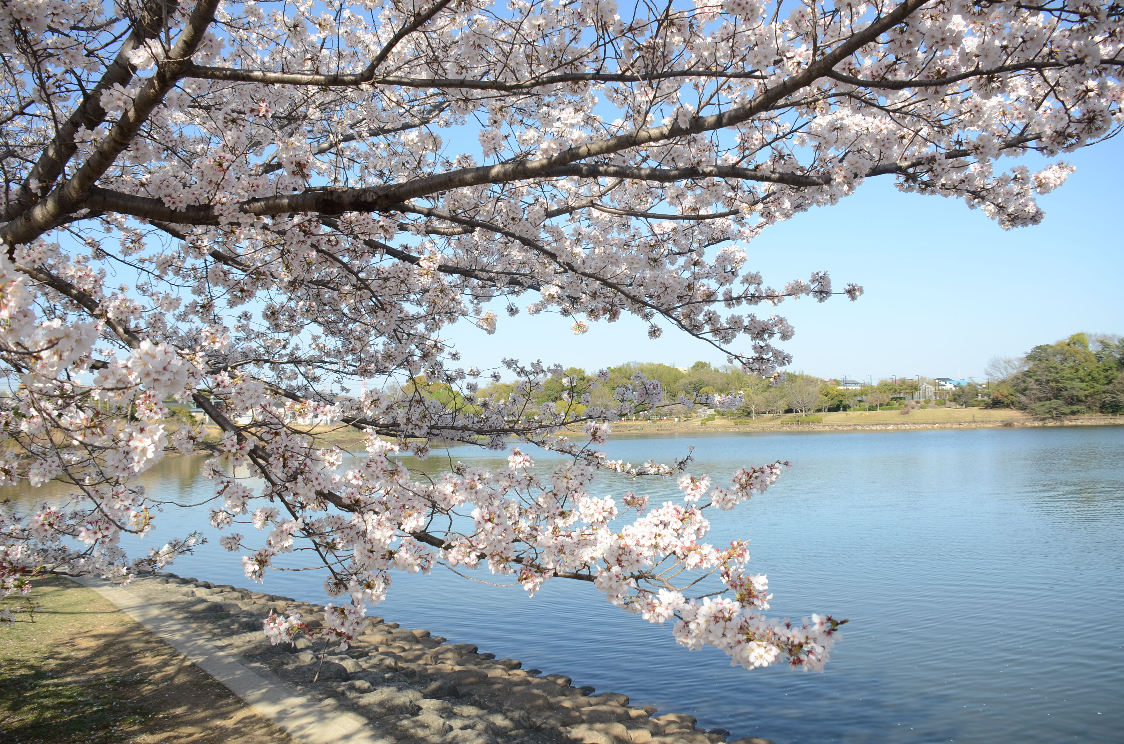 洲原公園