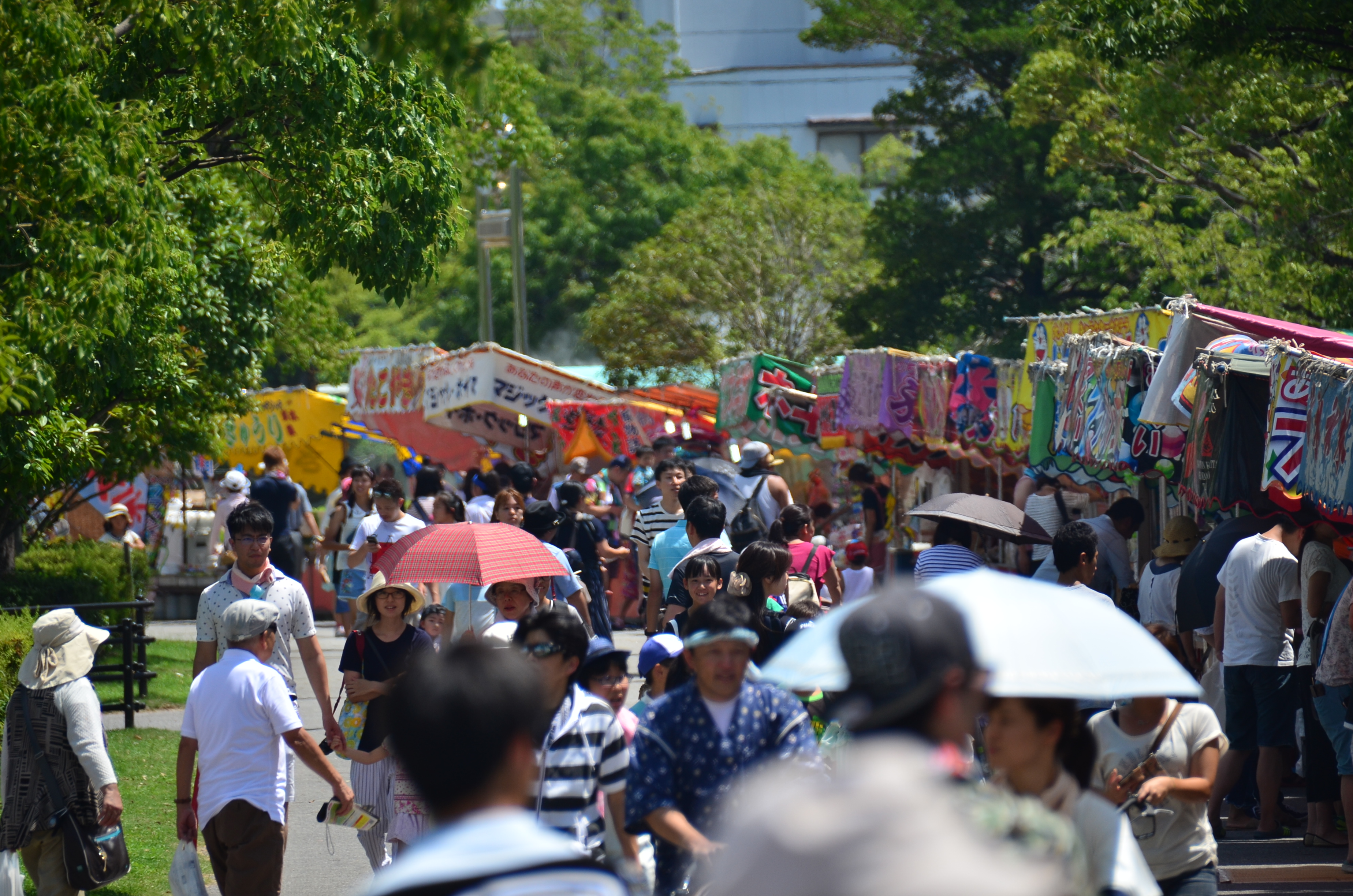 刈谷わんさか祭り19 花火大会 いいじゃん刈谷 刈谷市観光協会公式ホームページ